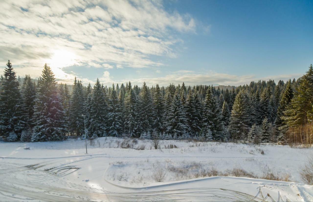 Timber View Apartment Silver Mountain Poiana Brasov Exterior photo